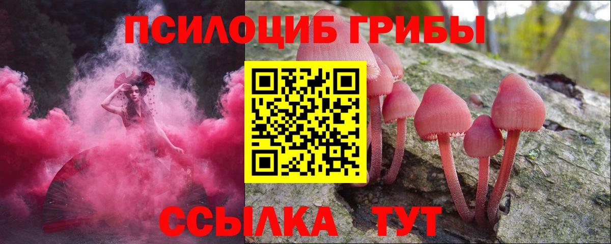 Камышин  где продают наркотики  Вход с VPN  Галлюциногенные грибы MAGIC MUSHROOMS 